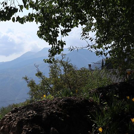 Μικρή Ζήρεια Ενοικιαζόμενη Κατοικία Μέση Συνοικία Τρικάλων Εξωτερικό φωτογραφία