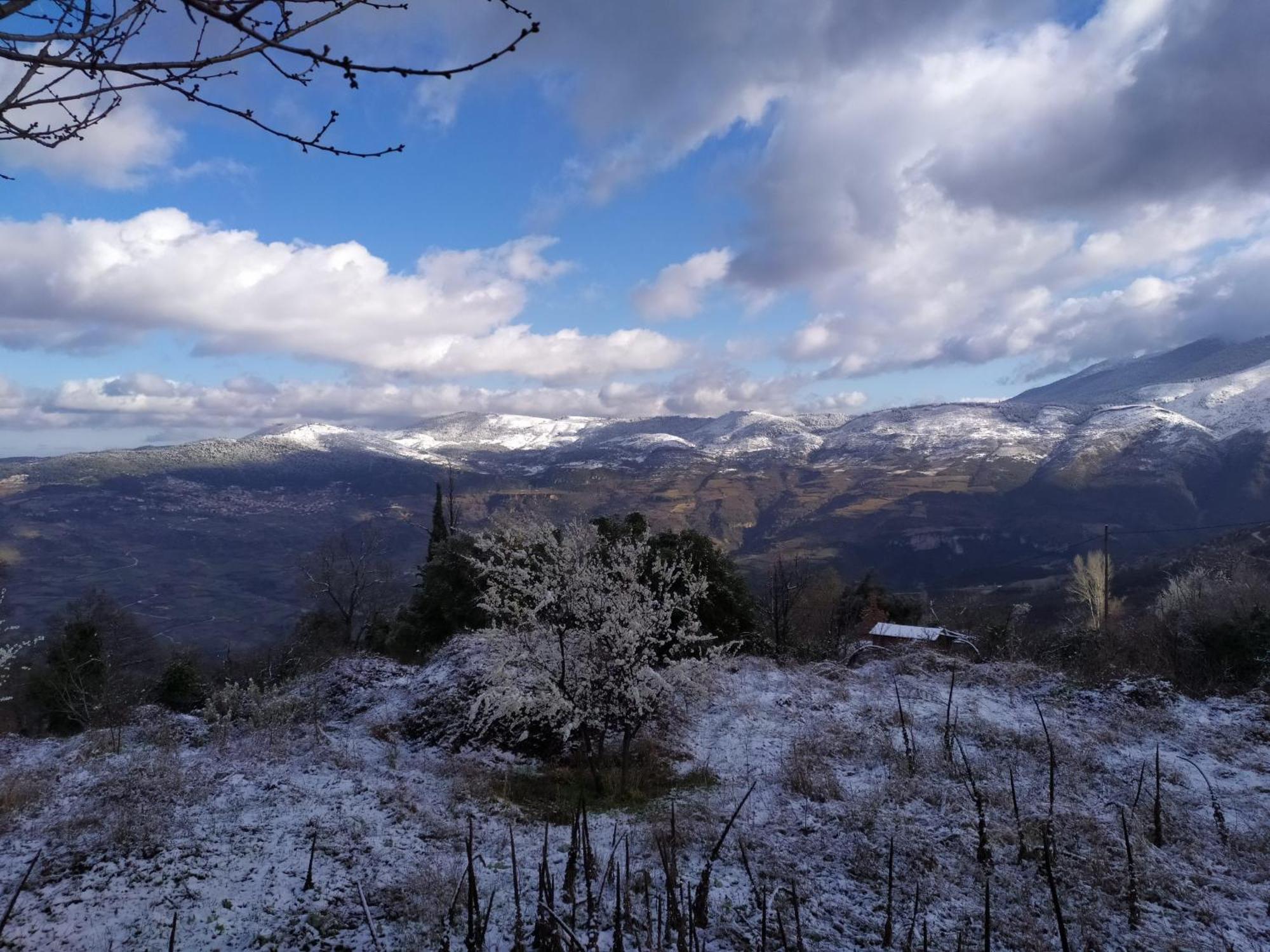Μικρή Ζήρεια Ενοικιαζόμενη Κατοικία Μέση Συνοικία Τρικάλων Εξωτερικό φωτογραφία